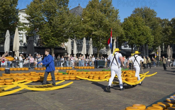 Männer in traditionellen Trägeranzügen auf einem Käsemarkt unter einer niederländischen Flagge, Käseträger, Käse, Käsemarkt, Alkmaar, Alkmar, Noord-Holland, Nordholland, Niederlande