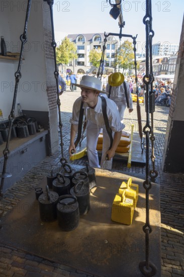 Ein Mann in historischer Kleidung wiegt Käse auf einem alten Markt mit anderen Teilnehmern, ehemalige Stadtwaage, Käse wiegen, Käseträger, Käse, Käsemarkt, Alkmaar, Alkmar, Noord-Holland, Nordholland, Niederlande