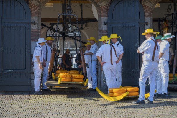 Männer mit gelben Hüten tragen Käse auf einem historischen Markt zur ehemaligen Stadtwaage, Käse wiegen, Käseträger, Käse, Käsemarkt, Alkmaar, Alkmar, Noord-Holland, Nordholland, Niederlande