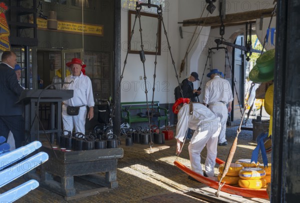 Männer mit roten Hüten bereiten Käse auf einem traditionellen Markt vor, ehemalige Stadtwaage, Käse wiegen, Käseträger, Käse, Käsemarkt, Alkmaar, Alkmar, Noord-Holland, Nordholland, Niederlande