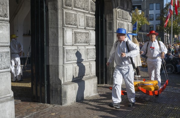 Männer mit blauen und roten Hüten bringen Käse auf den Markt zur ehemaligen Stadtwaage, Käseträger, Käse, Käsemarkt, Alkmaar, Alkmar, Noord-Holland, Nordholland, Niederlande
