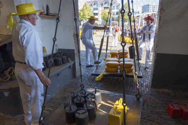 Traditionelle Käsemarktaktivität mit Männern, die Käseräder wiegen, ehemalige Stadtwaage, Käse wiegen, Käseträger, Käse, Käsemarkt, Alkmaar, Alkmar, Noord-Holland, Nordholland, Niederlande