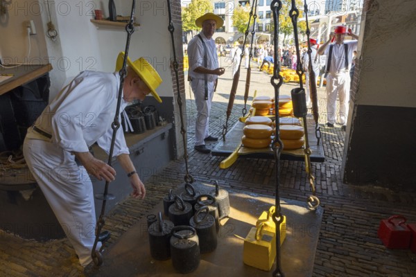 Männer in traditioneller Kleidung wiegen Käseräder auf einem historischen Markt, ehemalige Stadtwaage, Käse wiegen, Käseträger, Käse, Käsemarkt, Alkmaar, Alkmar, Noord-Holland, Nordholland, Niederlande