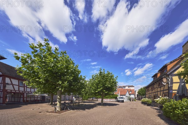 Platz, Fachwerkhäuser, Restaurant Die Scheuer, Gehweg aus Betonpflastersteinen, Bäume, blauer Himmel, Cumuluswolken, Kreuzung zwischen Tivertonplatz, Burgstraße, Burggrabenstraße und Taubengasse, Hofheim am Taunus, Main-Taunus-Kreis, Hessen, Deutschland