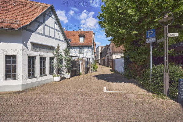Blumengeschäft lavendula, Fachwerkhäuser, historische Gebäude, Altstadt, allgemeine Architektur, Spitzdächer mit roten Dachpfannen, Behindertenparkplatz, Gehweg aus Betonpflastersteinen, Bäume, blauer Himmel, Cumuluswolken, Kreuzung Taubengasse mit Burgstraße, Hofheim am Taunus, Main-Taunus-Kreis, Hessen, Deutschland