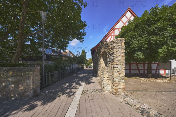 Altstadt, Gasse, historische Stadtbefestigung, Stadtmauer, Bäume, Fachwerkhaus, Fußweg und Radweg, Verkehrsschild gemeinsamer Geh- und Radweg, Gehweg aus Betonpflastersteinen, blauer Himmel, Cirrostratuswolken, Hofheim am Taunus, Main-Taunus-Kreis, Hessen, Deutschland