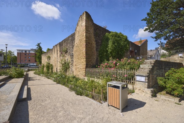 Haus der Jugend, Altes Wasserschloss, Altstadt, Stadtbefestigung, Stadtmauer, Burg, Laterne, Gartenanlage, Blumenbeete, Holzzaun, Sitzbänke, öffentlicher Mülleimer, Weg, allgemeine Architektur, blauer Himmel, Cumuluswolken, Cirrostratuswolken, Burgstraße, Hofheim am Taunus, Main-Taunus-Kreis, Hessen, Deutschland