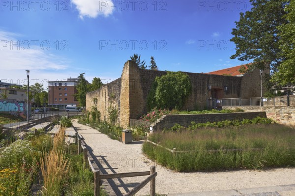 Altstadt, Stadtbefestigung, Stadtmauer, Altes Wasserschloss, Burg, Haus der Jugend, Laterne, Parkanlage, Blumenbeete, Holzzaun, allgemeine Architektur, blauer Himmel, Cumuluswolken, Cirrostratuswolken, Burgstraße, Hofheim am Taunus, Main-Taunus-Kreis, Hessen, Deutschland
