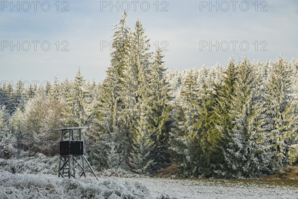 Hunting pulpit on a meadow in a valley surrounded by a mixed forest with norway spruce (Picea abies) and European beech (Fagus sylvatica) white from roarfrost, on a sunny day in winter, Bavaria, Germany