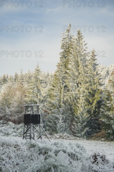 Hunting pulpit on a meadow in a valley surrounded by a mixed forest with norway spruce (Picea abies) and European beech (Fagus sylvatica) white from roarfrost, on a sunny day in winter, Bavaria, Germany