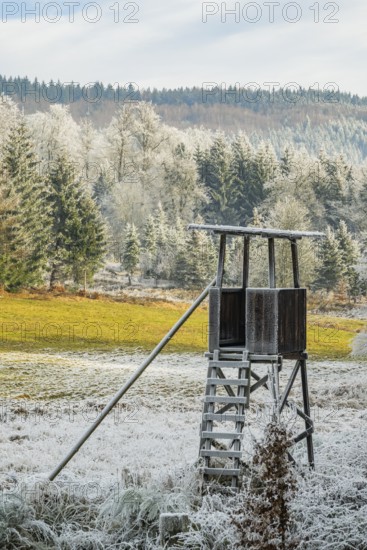 Hunting pulpit on a meadow in a valley surrounded by a mixed forest with norway spruce (Picea abies) and European beech (Fagus sylvatica) white from roarfrost, on a sunny day in winter, Bavaria, Germany
