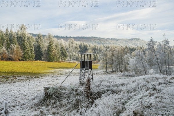 Hunting pulpit on a meadow in a valley surrounded by a mixed forest with norway spruce (Picea abies) and European beech (Fagus sylvatica) white from roarfrost, on a sunny day in winter, Bavaria, Germany