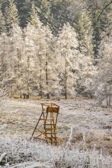 Hunting pulpit in a valley white from roarfrost on a sunny day in winter, Bavaria, Germany