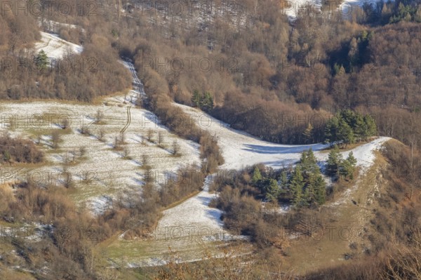 Typical valley with bushes, trees and meadows in winter, Vápec, Horná Poruba, Slovakia