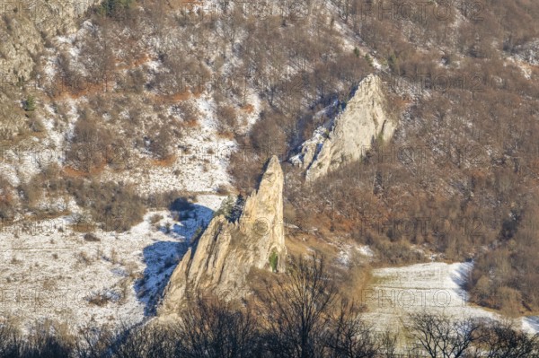 Cervenokamenské cliff (cervenokamenske bradlo), a huge rock with bushes, trees and meadows in winter, Vápec, Horná Poruba, Slovakia