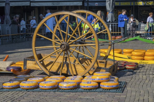 Wooden wagon with large wheels on a market square in the sunshine, wooden wagon wheel with crate for transporting cheese, cheese, cheese market, Alkmaar, Alkmar, Noord-Holland, North Holland, Netherlands