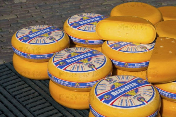 Close-up of stacked Beemster cheese wheels with distinctive labels, Cheese, Cheese market, Alkmaar, Alkmar, Noord-Holland, North Holland, Netherlands