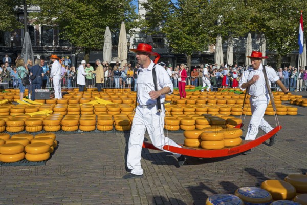 Men in traditional costumes transporting cheese at a market, cheese carrier, cheese, cheese market, Alkmaar, Alkmar, Noord-Holland, North Holland, Netherlands