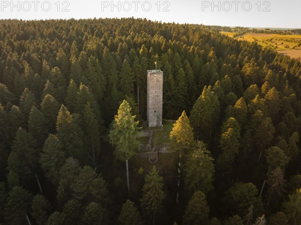 The tower towers high between the trees, illuminated by the last rays of daylight, Mandelberg castle ruins, Pfalzgrafenweiler, Germany