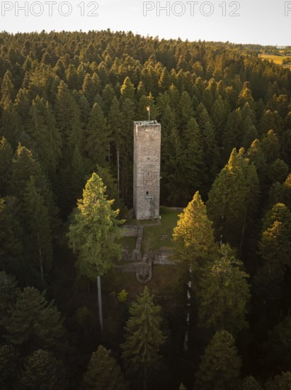 A stone observation tower rises up between tall trees, surrounded by soft twilight, Mandelberg castle ruins, Pfalzgrafenweiler, Germany