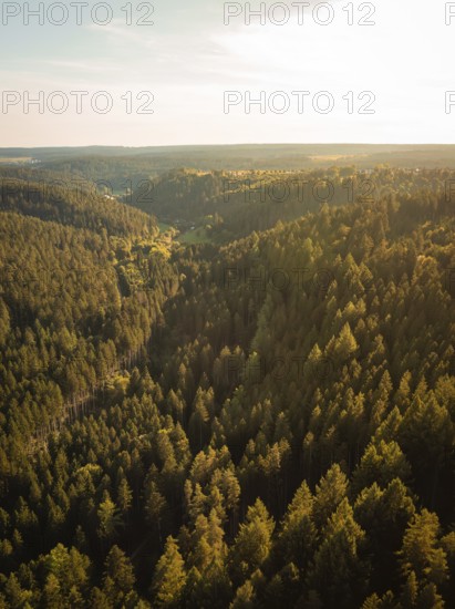 A wide view over the green tops of a forest, illuminated by golden sunlight, Mandelberg castle ruins, Pfalzgrafenweiler, Germany