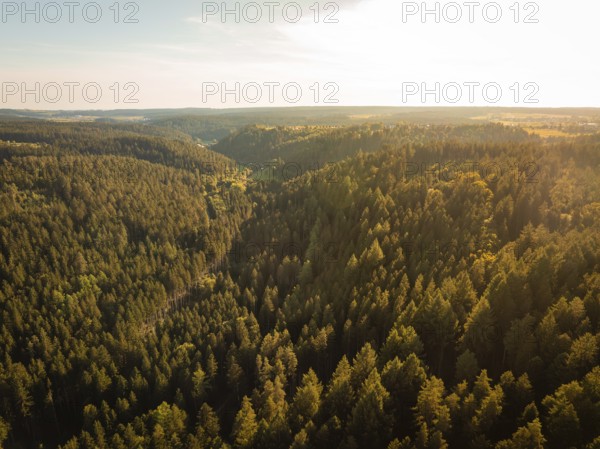 A view over hilly, tree-covered landscapes in the soft light of late day, Mandelberg castle ruins, Pfalzgrafenweiler, Germany