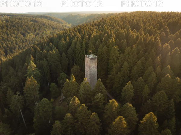 A massive tower rises out of an ocean of trees bathed in warm light, Mandelberg castle ruins, Pfalzgrafenweiler, Germany