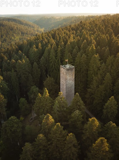 A tall tower stands between dense trees coloured by the light of dusk, Mandelberg castle ruins, Pfalzgrafenweiler, Germany