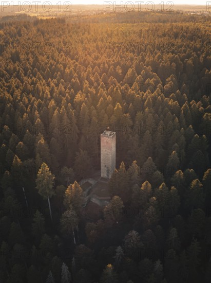 An observation tower rises in the middle of a wooded hill, illuminated by warm evening light, Mandelberg castle ruins, Pfalzgrafenweiler, Germany