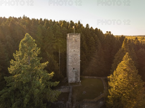 An old tower rises out of the dense forest, illuminated by the warm rays of the evening sun, Mandelberg castle ruins, Pfalzgrafenweiler, Germany