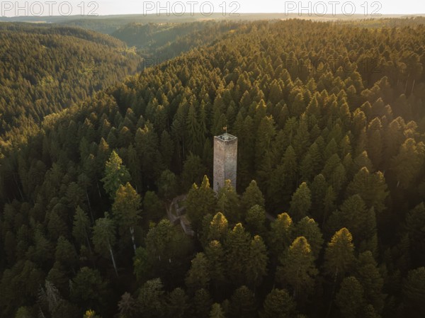 A tower surrounded by densely wooded hills catches the last rays of sunlight in the early evening, Mandelberg castle ruins, Pfalzgrafenweiler, Germany