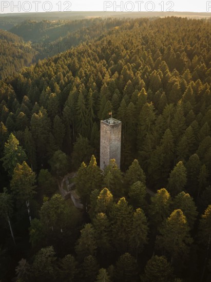 A single tower rises out of a dense forest as the setting sun bathes the scene in warm light, Mandelberg castle ruins, Pfalzgrafenweiler, Germany