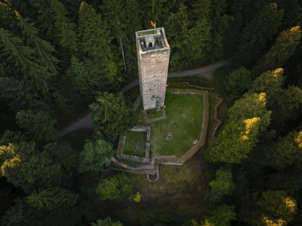 A fortified tower lies hidden in green light and dense forests, surrounded by nature, Mandelberg castle ruins, Pfalzgrafenweiler, Germany