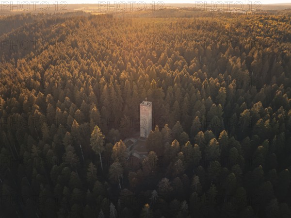 A slender observation tower is surrounded by an expansive forest landscape in the golden light, Mandelberg castle ruins, Pfalzgrafenweiler, Germany