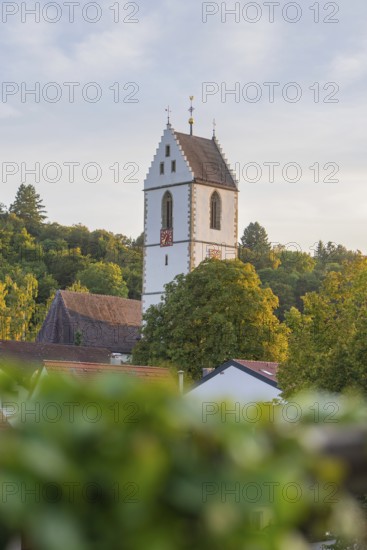 A church tower rises out of a small village, surrounded by trees at sunset, Aidlingen, Germany