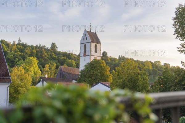 Village with church tower surrounded by lush nature and trees, peaceful atmosphere, Aidlingen, Germany