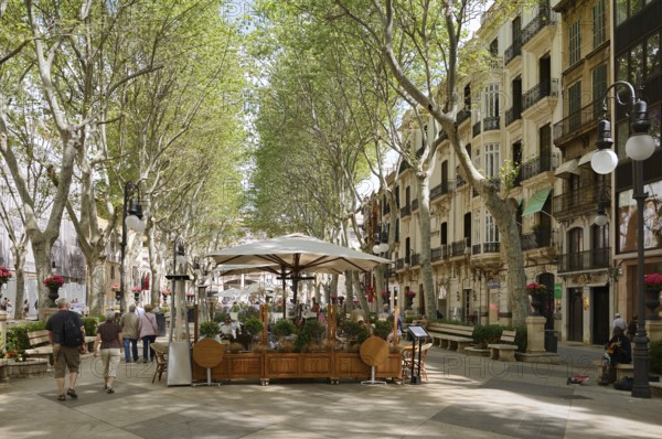 Restaurant on the Passeig de Born promenade, Palma de Majorca, Majorca, Balearic Islands, Spain