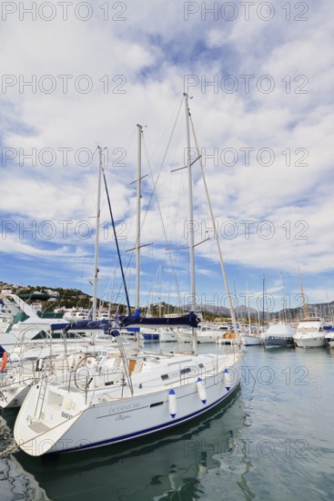 Sailing boats in the harbour, Port d'Andratx, Majorca, Balearic Islands, Spain