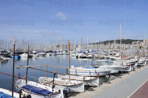 Boats in the harbour, Palma de Majorca, Majorca, Balearic Islands, Spain