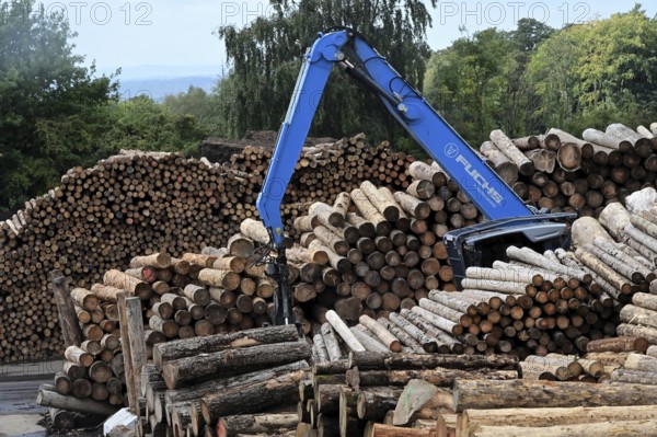Wood storage and mechanical log transport on the premises of Energie-Mann in the Westerwald. Wood pellets are produced there