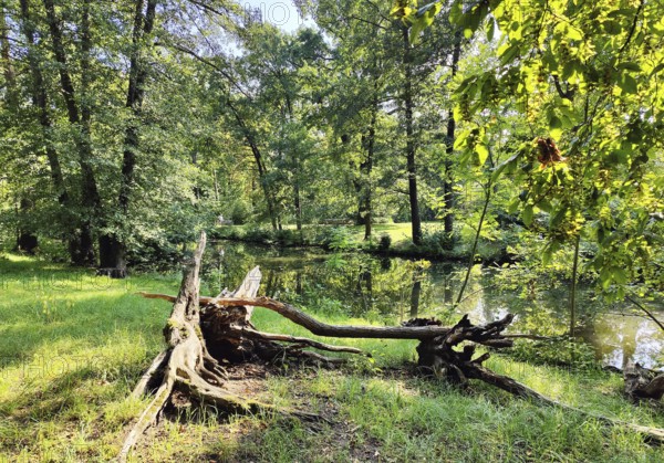 Charlottenburg Palace Gardens, also known as the Palace Park, near-natural area, Berlin, Germany