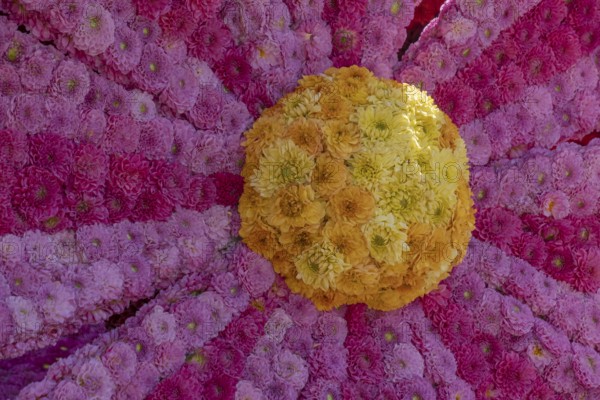 Flower arrangement of yellow, pink and pink dahlias, Province of Gelderland, Netherlands