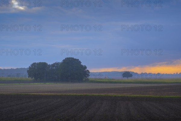 View over a field and meadow landscape in the rain and evening light, Husum, Nienburg, Lower Saxony, Germany
