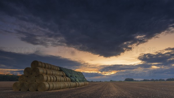 Photograph of a large stack of round bales on a harvested field in the evening light, Husum, Nienburg, Lower Saxony, Germany