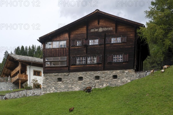 Residential buildings on a slope, Arosa, Grisons, Switzerland