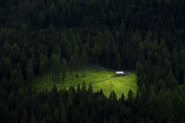 View from above of a hut standing in a clearing in the forest, San Candido, Val Pusteria, South Tyrol, Italy