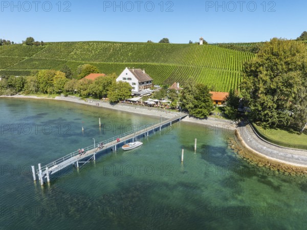 Aerial view of the jetty at the historic Rebgut Haltnau with catering business, outdoor catering and event venue, behind it a vineyard with wine tower, Meersburg, Lake Constance, Lake Constance district, Baden-Württemberg, Germany
