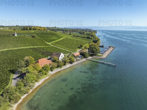 Aerial view of the marina and jetty at the historic Rebgut Haltnau with catering business, outdoor catering and event venue, behind it a vineyard with wine tower, Meersburg, Lake Constance, Lake Constance district, Baden-Württemberg, Germany