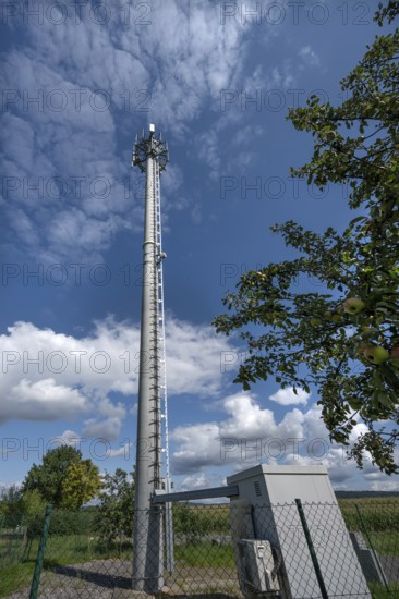 Transmission mast, on the right an apple tree (Malus) with fruits, Eckental, Middle Franconia, Bavaria, Germany