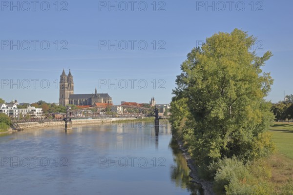 Elbe with lift bridge, Gothic Magdeburg Cathedral of St Mauritius and St Katharina, church, cityscape, banks of the Elbe, Magdeburg, Saxony-Anhalt, Germany